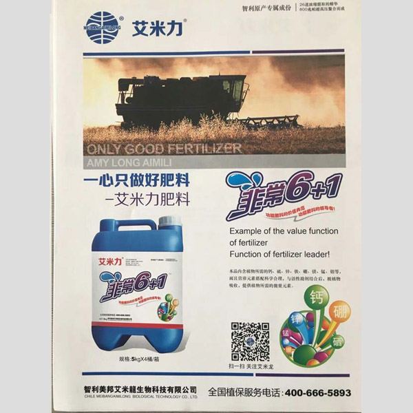 非常6+1